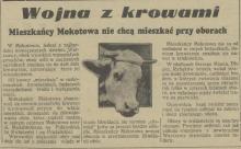 Wojna z krowami, 1938