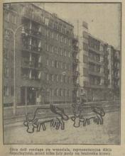 Beztrosko krowy, 1938