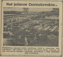 Najpiękniejsze szparagi, 1939