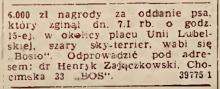 Zaginął Bosio, 1947